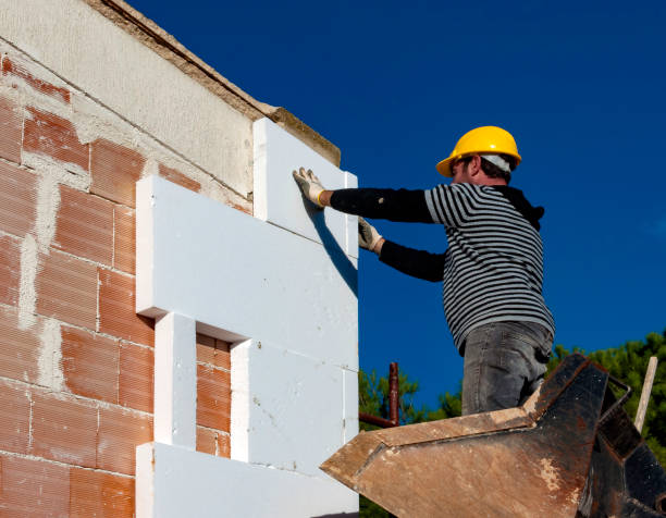 Best Cellulose Insulation  in Halifax, VA